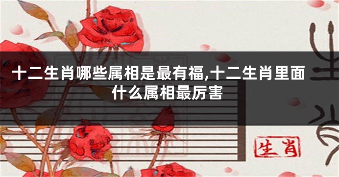 十二生肖哪些属相是最有福,十二生肖里面什么属相最厉害