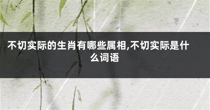 不切实际的生肖有哪些属相,不切实际是什么词语