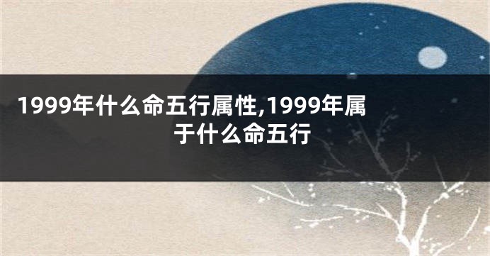 1999年什么命五行属性,1999年属于什么命五行