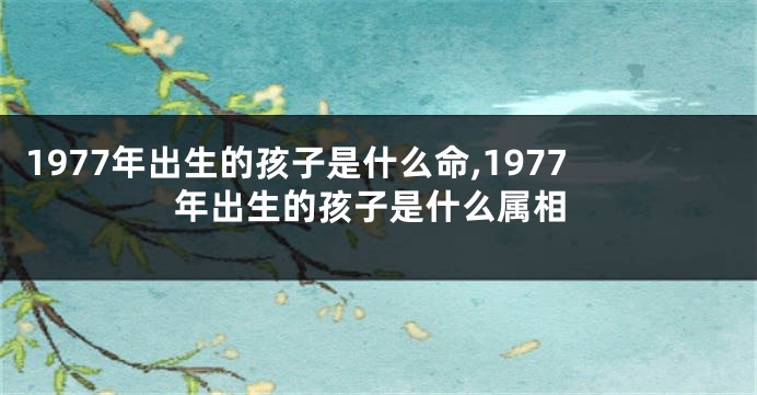 1977年出生的孩子是什么命,1977年出生的孩子是什么属相