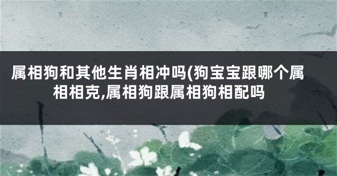 属相狗和其他生肖相冲吗(狗宝宝跟哪个属相相克,属相狗跟属相狗相配吗