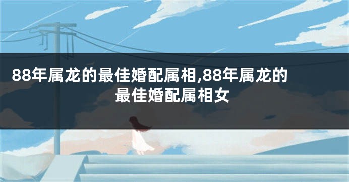 88年属龙的最佳婚配属相,88年属龙的最佳婚配属相女