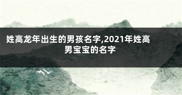 姓高龙年出生的男孩名字,2021年姓高男宝宝的名字