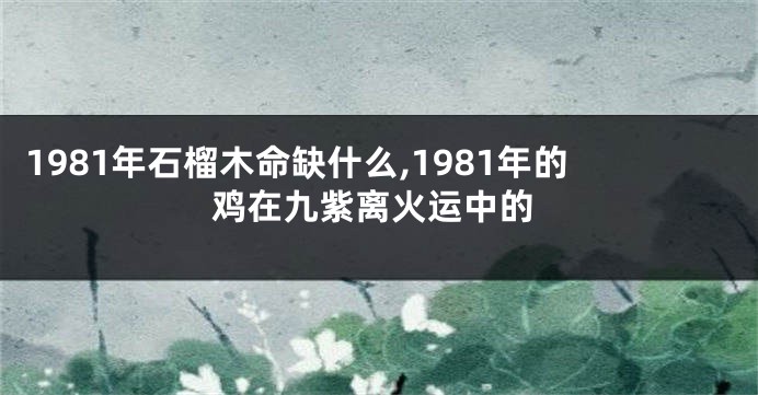 1981年石榴木命缺什么,1981年的鸡在九紫离火运中的