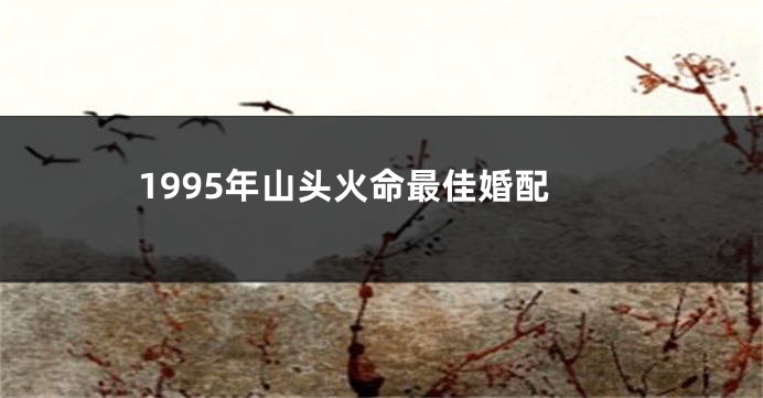 1995年山头火命最佳婚配