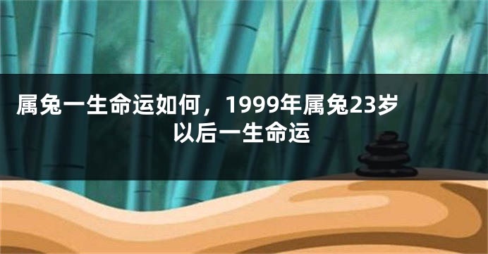 属兔一生命运如何，1999年属兔23岁以后一生命运