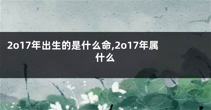 2o17年出生的是什么命,2o17年属什么