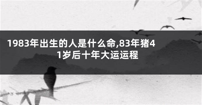 1983年出生的人是什么命,83年猪41岁后十年大运运程