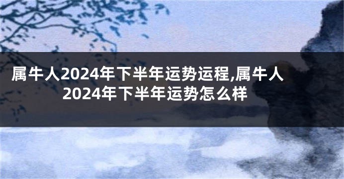 属牛人2024年下半年运势运程,属牛人2024年下半年运势怎么样