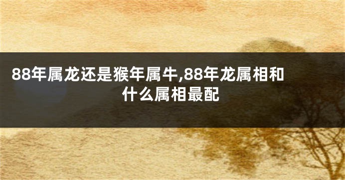 88年属龙还是猴年属牛,88年龙属相和什么属相最配