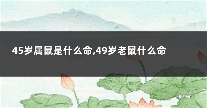 45岁属鼠是什么命,49岁老鼠什么命