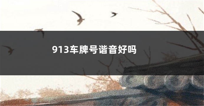 913车牌号谐音好吗