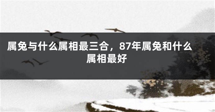 属兔与什么属相最三合，87年属兔和什么属相最好