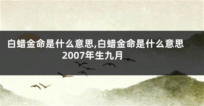 白蜡金命是什么意思,白蜡金命是什么意思2007年生九月