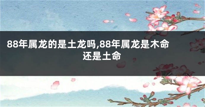 88年属龙的是土龙吗,88年属龙是木命还是土命