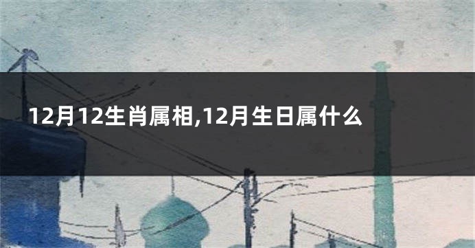 12月12生肖属相,12月生日属什么