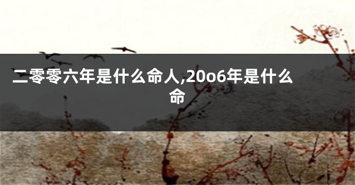 二零零六年是什么命人,20o6年是什么命