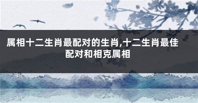 属相十二生肖最配对的生肖,十二生肖最佳配对和相克属相