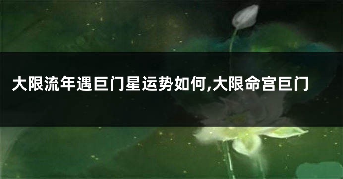 大限流年遇巨门星运势如何,大限命宫巨门