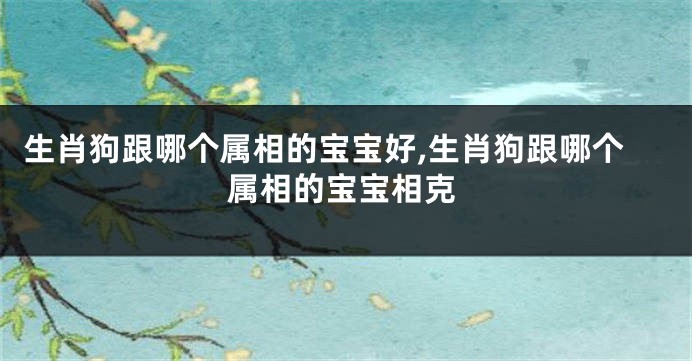 生肖狗跟哪个属相的宝宝好,生肖狗跟哪个属相的宝宝相克