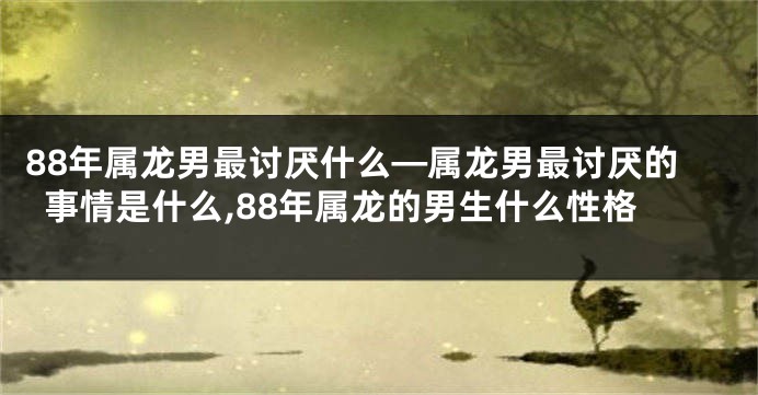 88年属龙男最讨厌什么—属龙男最讨厌的事情是什么,88年属龙的男生什么性格