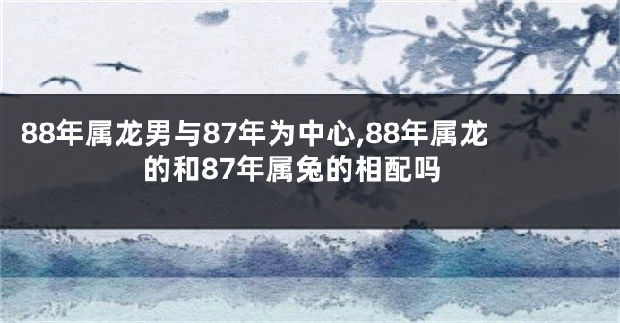 88年属龙男与87年为中心,88年属龙的和87年属兔的相配吗