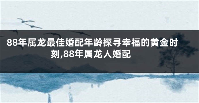 88年属龙最佳婚配年龄探寻幸福的黄金时刻,88年属龙人婚配