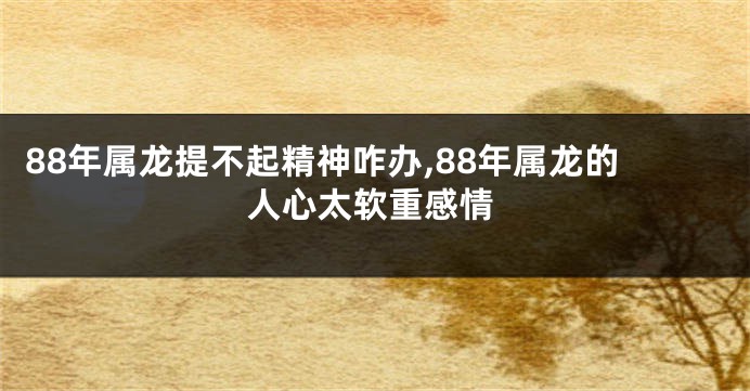 88年属龙提不起精神咋办,88年属龙的人心太软重感情