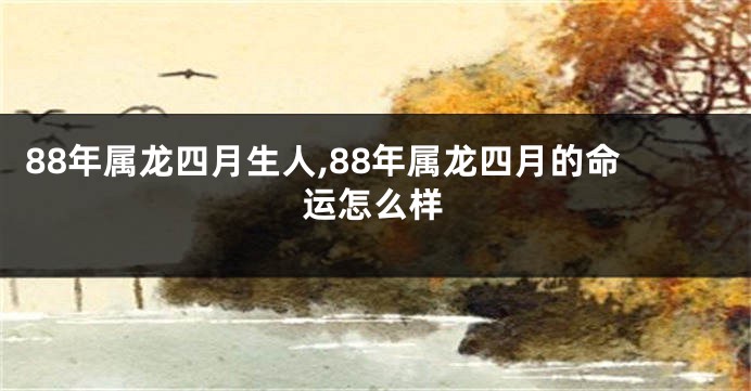 88年属龙四月生人,88年属龙四月的命运怎么样