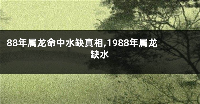 88年属龙命中水缺真相,1988年属龙缺水