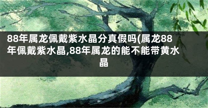 88年属龙佩戴紫水晶分真假吗(属龙88年佩戴紫水晶,88年属龙的能不能带黄水晶