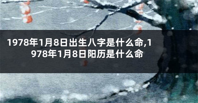 1978年1月8日出生八字是什么命,1978年1月8日阳历是什么命