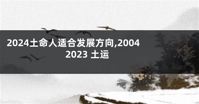 2024土命人适合发展方向,2004 2023 土运