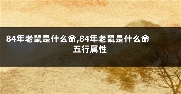 84年老鼠是什么命,84年老鼠是什么命五行属性