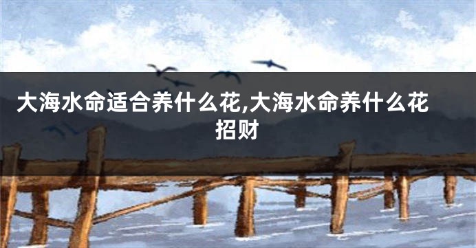 大海水命适合养什么花,大海水命养什么花招财