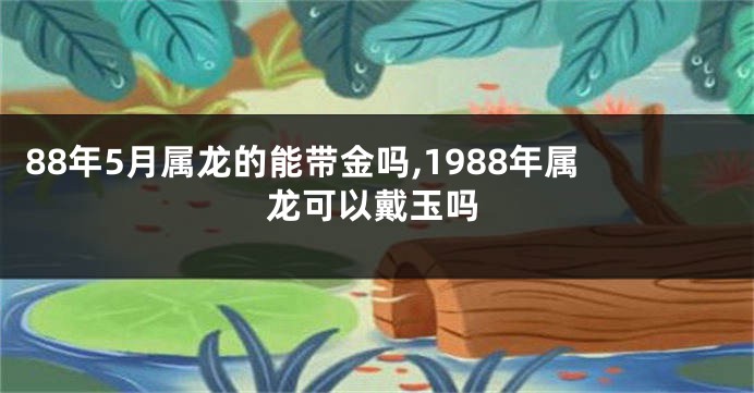 88年5月属龙的能带金吗,1988年属龙可以戴玉吗