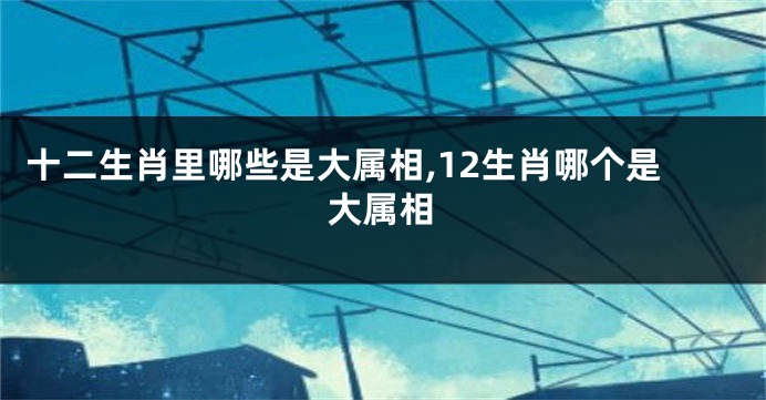 十二生肖里哪些是大属相,12生肖哪个是大属相