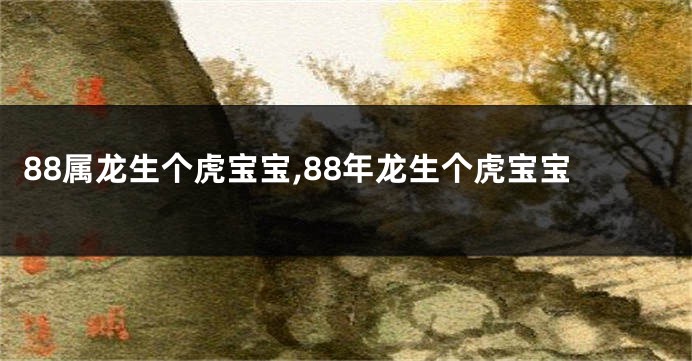 88属龙生个虎宝宝,88年龙生个虎宝宝