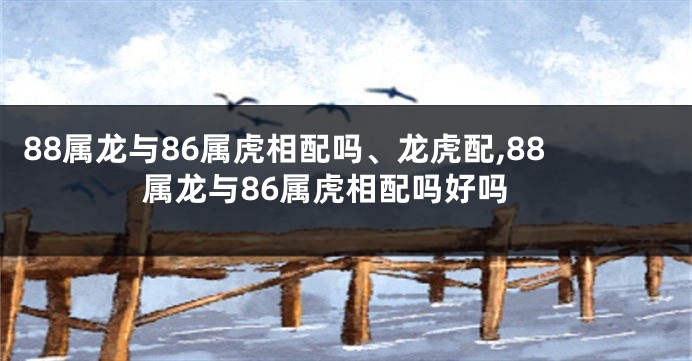 88属龙与86属虎相配吗、龙虎配,88属龙与86属虎相配吗好吗