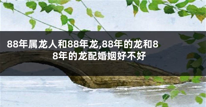 88年属龙人和88年龙,88年的龙和88年的龙配婚姻好不好