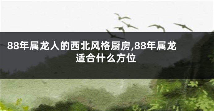 88年属龙人的西北风格厨房,88年属龙适合什么方位