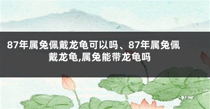 87年属兔佩戴龙龟可以吗、87年属兔佩戴龙龟,属兔能带龙龟吗