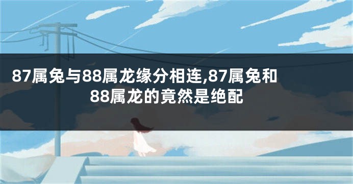 87属兔与88属龙缘分相连,87属兔和88属龙的竟然是绝配