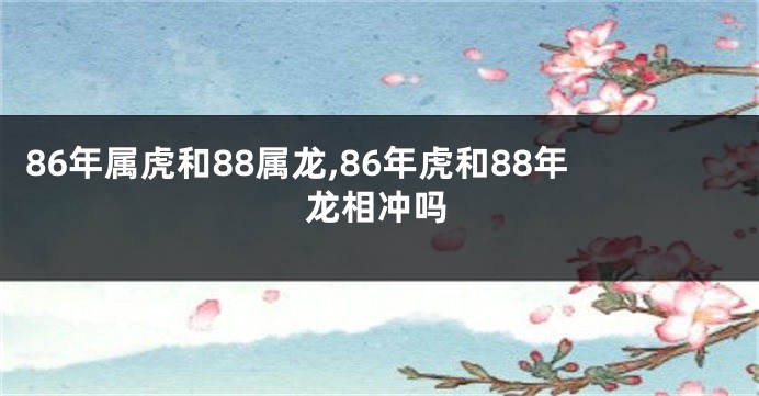 86年属虎和88属龙,86年虎和88年龙相冲吗