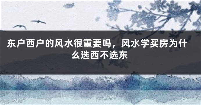 东户西户的风水很重要吗，风水学买房为什么选西不选东