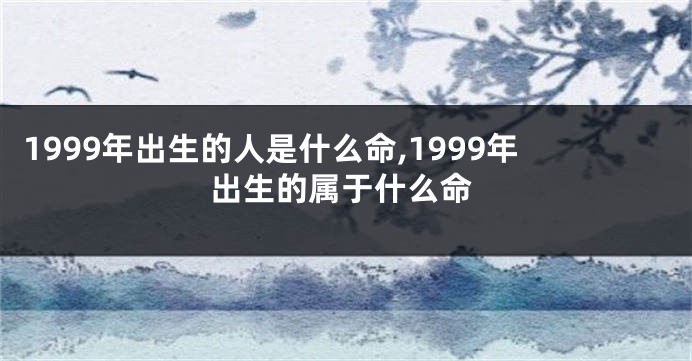 1999年出生的人是什么命,1999年出生的属于什么命