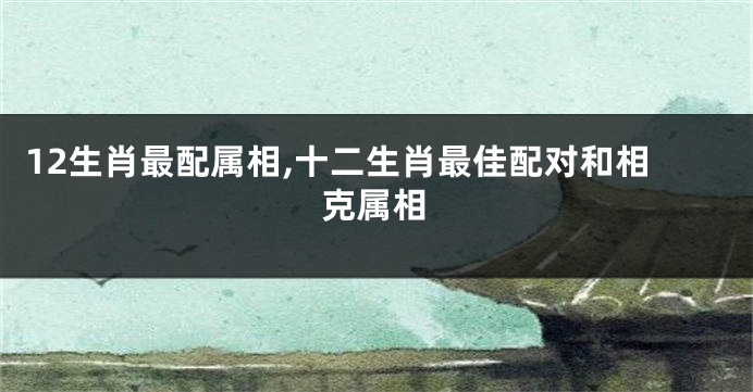 12生肖最配属相,十二生肖最佳配对和相克属相