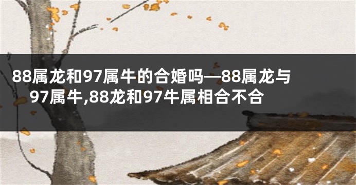 88属龙和97属牛的合婚吗—88属龙与97属牛,88龙和97牛属相合不合