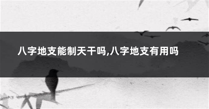 八字地支能制天干吗,八字地支有用吗