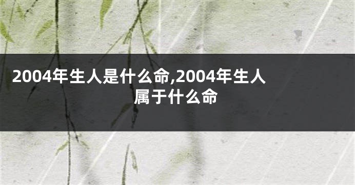 2004年生人是什么命,2004年生人属于什么命